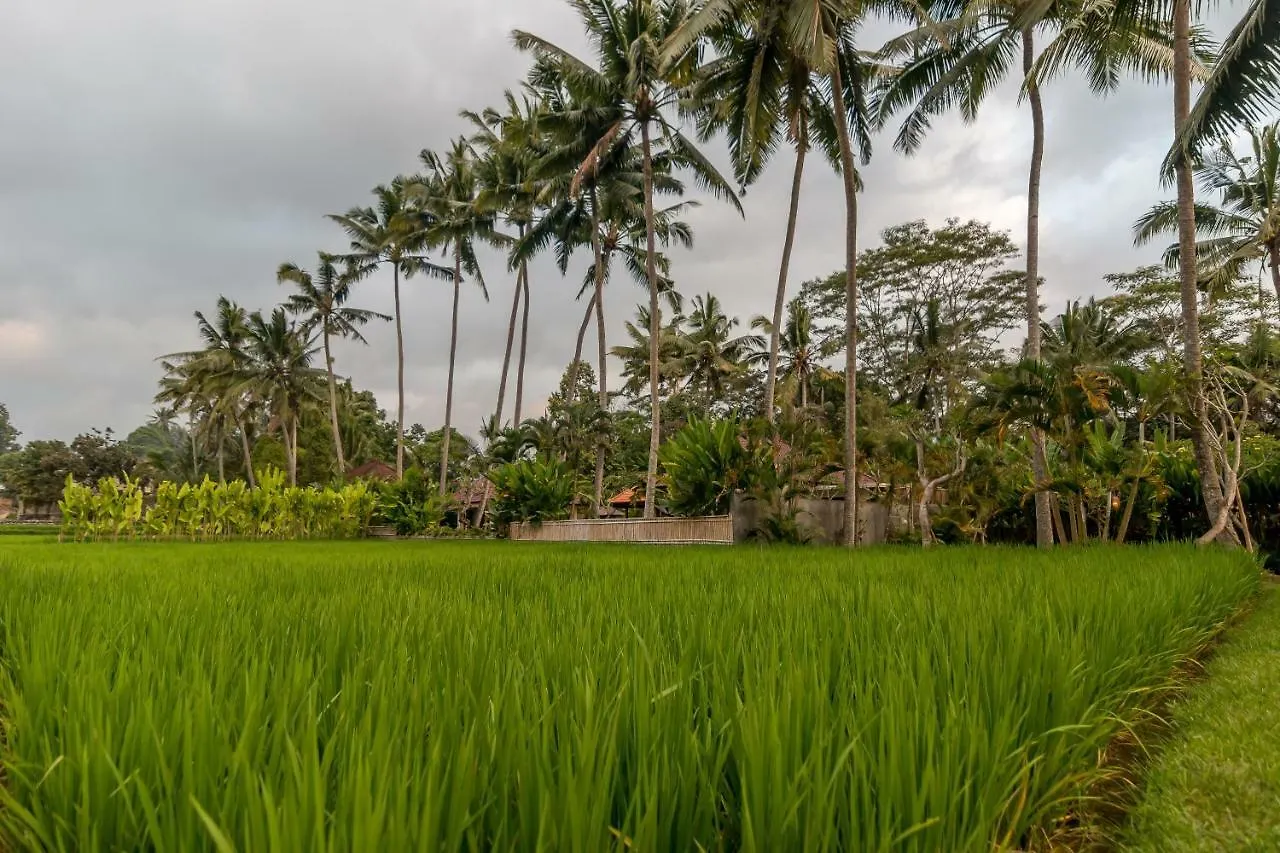 Tani Villa Ubud
